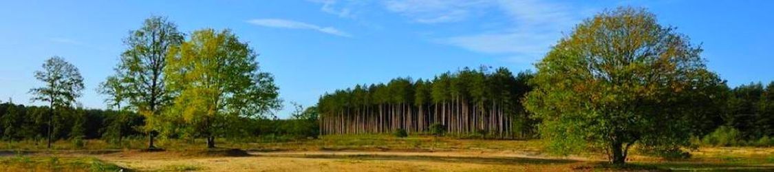 snelcursus Nederlands taalbad volwassenen