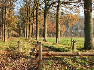 meer info over deze online en residentiële taalcursussen Nederlands